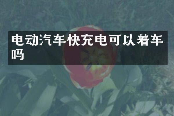 电动汽车快充电可以着车吗