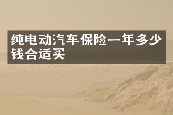 纯电动汽车保险一年多少钱合适买
