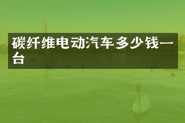 碳纤维电动汽车多少钱一台