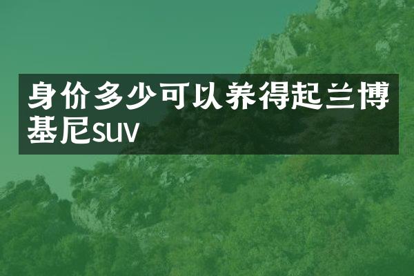 身价多少可以养得起兰博基尼suv