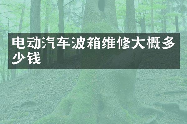 电动汽车波箱维修大概多少钱