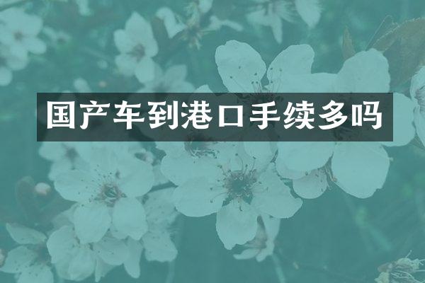 国产车到港口手续多吗