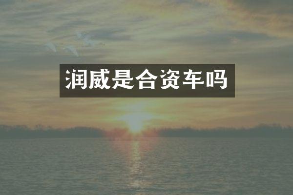 润威是合资车吗