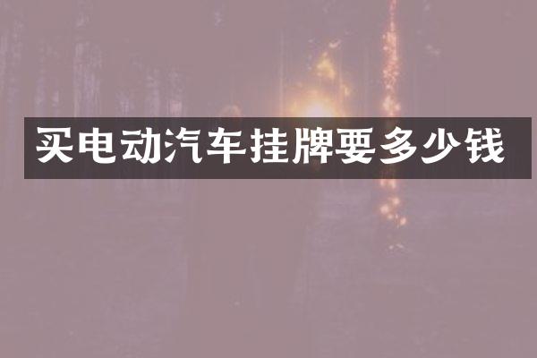 买电动汽车挂牌要多少钱