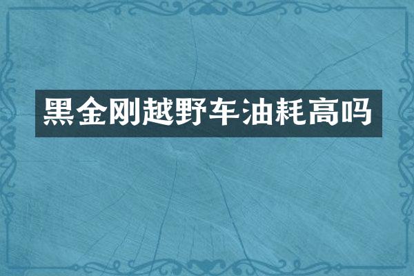 黑金刚越野车油耗高吗