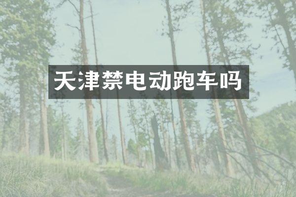 天津禁电动跑车吗