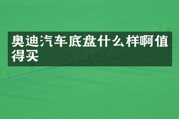 奥迪汽车底盘什么样啊值得买