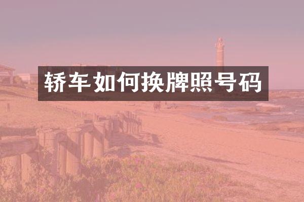 轿车如何换牌照号码