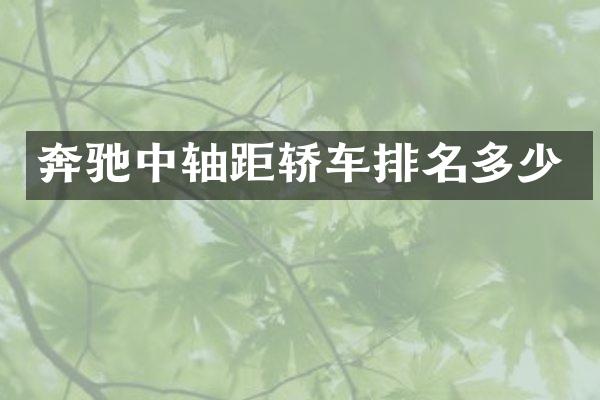 奔驰中轴距轿车排名多少
