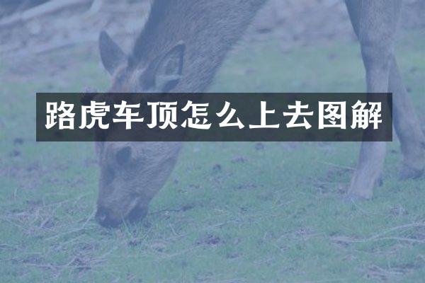 路虎车顶怎么上去图解