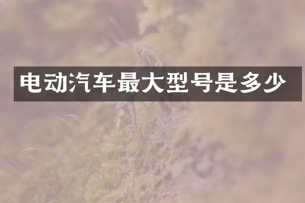 电动汽车最大型号是多少