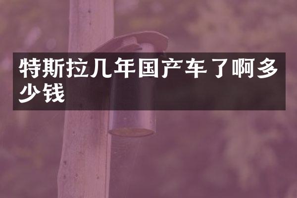 特斯拉几年国产车了啊多少钱