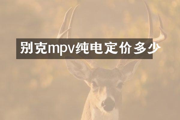 别克mpv纯电定价多少