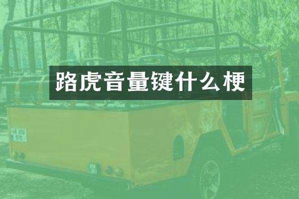 路虎音量键什么梗