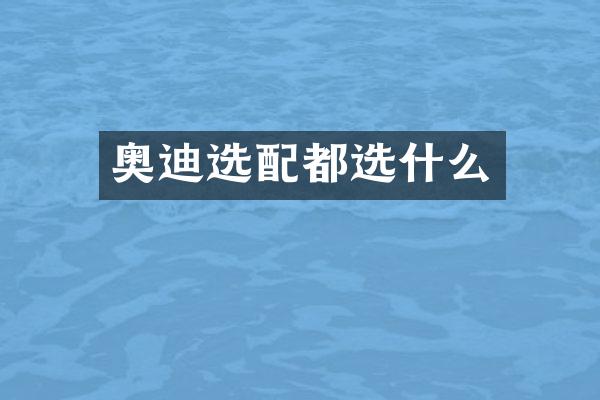 奥迪选配都选什么