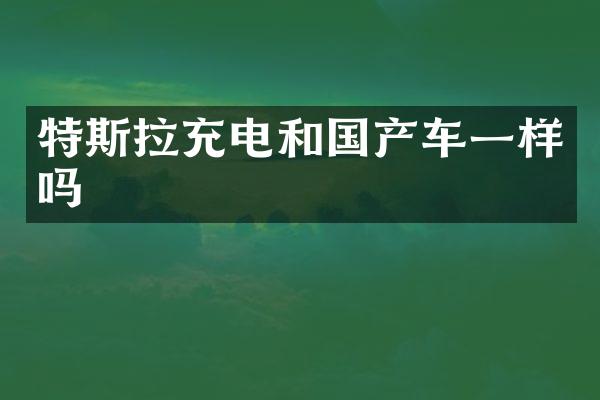 特斯拉充电和国产车一样吗