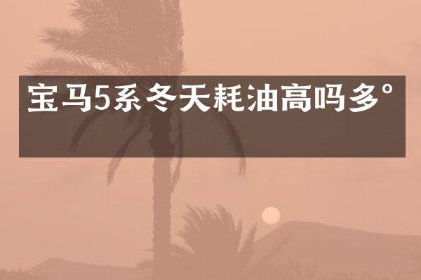 宝马5系冬天耗油高吗多少