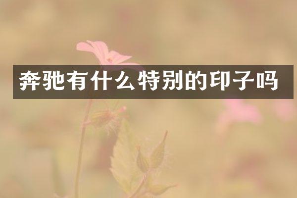 奔驰有什么特别的印子吗