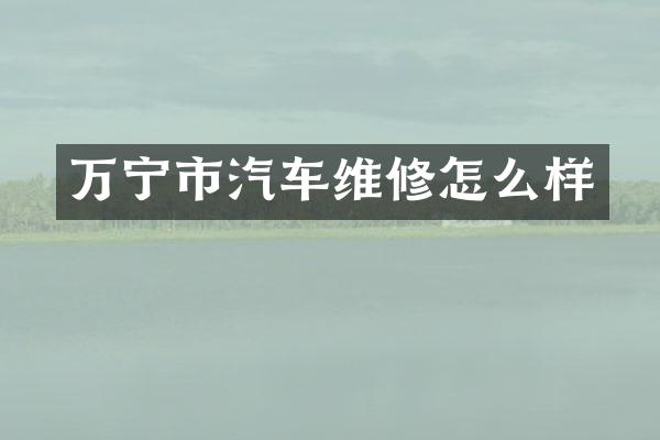 万宁市汽车维修怎么样