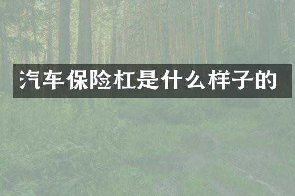 汽车保险杠是什么样子的