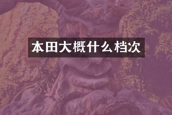 本田大概什么档次