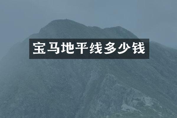 宝马地平线多少钱