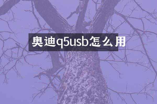 奥迪q5usb怎么用