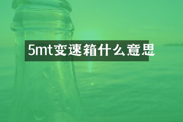 5mt变速箱什么意思
