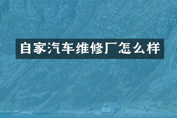 自家汽车维修厂怎么样