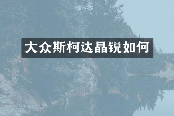 大众斯柯达晶锐如何