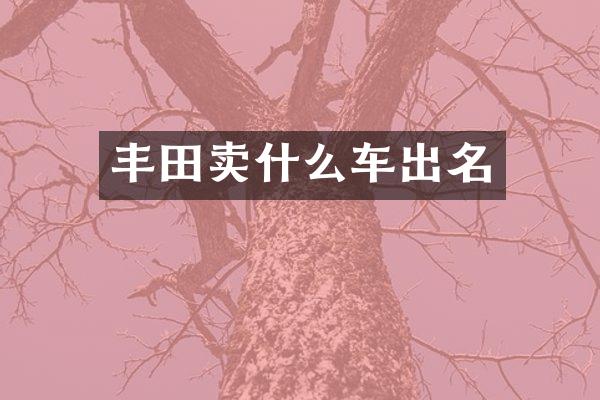 丰田卖什么车出名