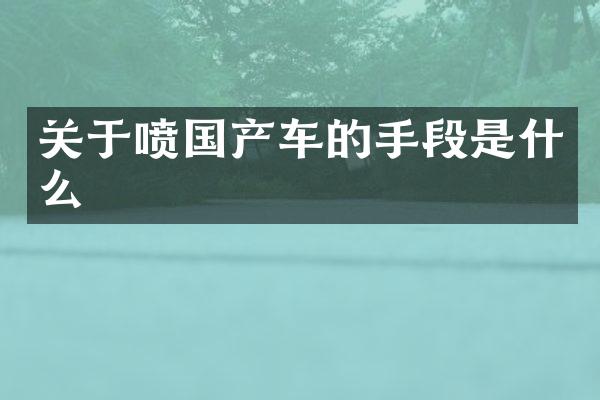 关于喷国产车的手段是什么