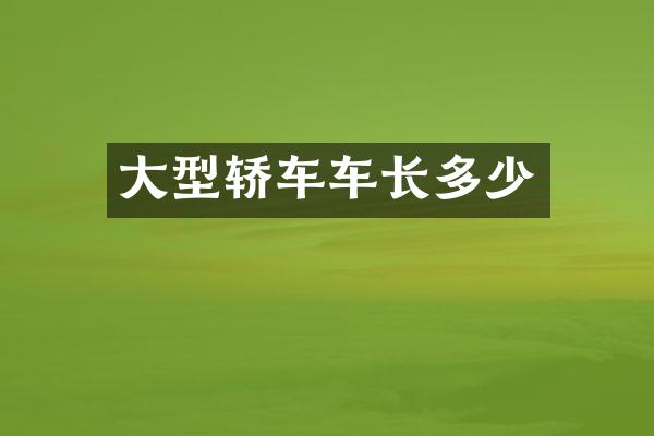 大型轿车车长多少