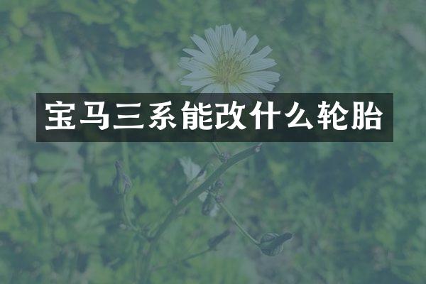 宝马三系能改什么轮胎