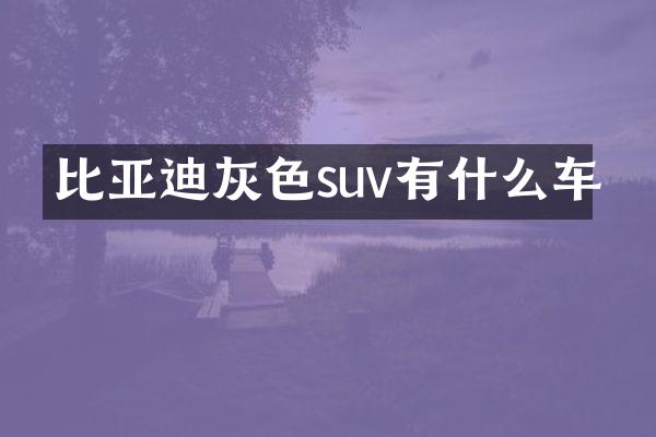 比亚迪灰色suv有什么车