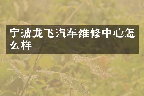 宁波龙飞汽车维修中心怎么样