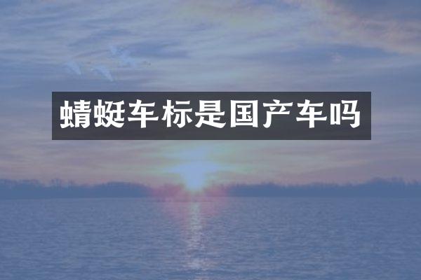 蜻蜓车标是国产车吗