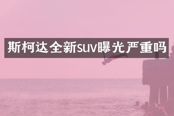 斯柯达全新suv曝光严重吗