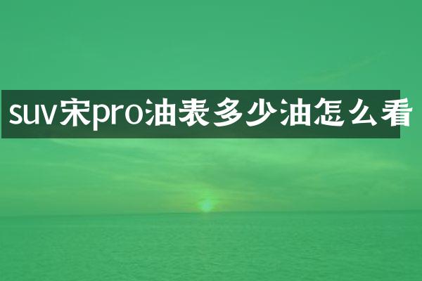 suv宋pro油表多少油怎么看
