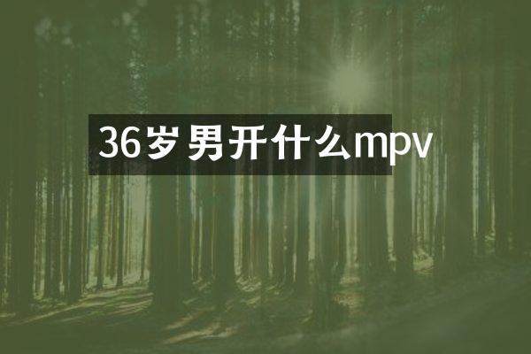 36岁男开什么mpv