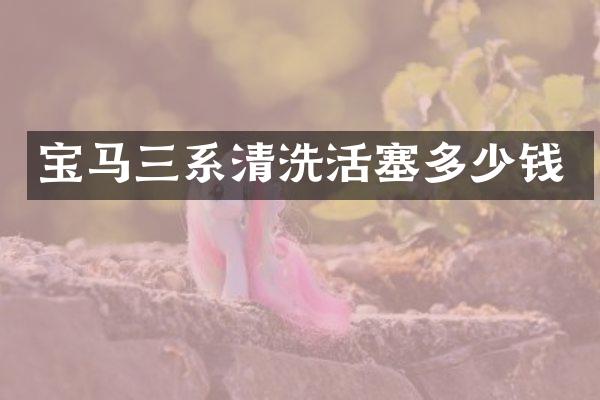 宝马三系清洗活塞多少钱