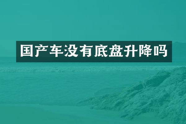 国产车没有底盘升降吗