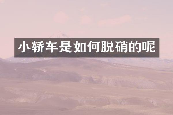 小轿车是如何脱硝的呢