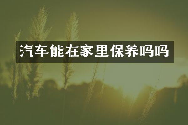 汽车能在家里保养吗吗