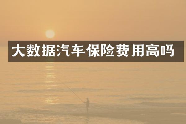 大数据汽车保险费用高吗