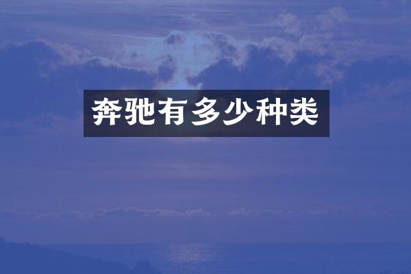奔驰有多少种类