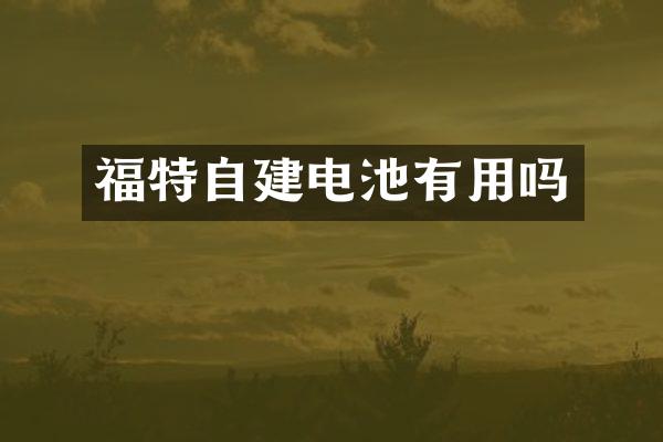 福特自建电池有用吗