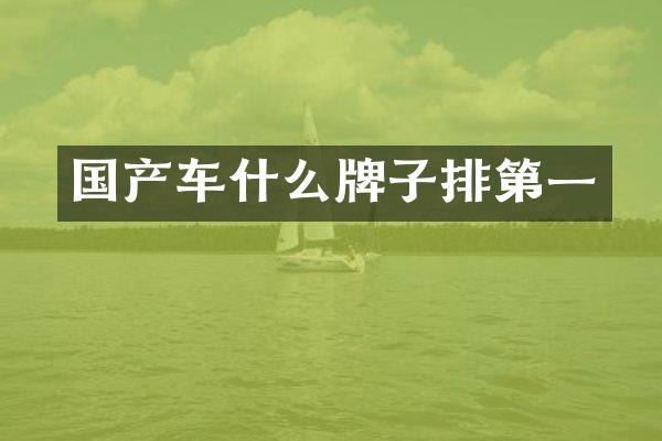 国产车什么牌子排第一