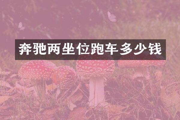 奔驰两坐位跑车多少钱