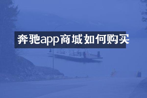 奔驰app商城如何购买
